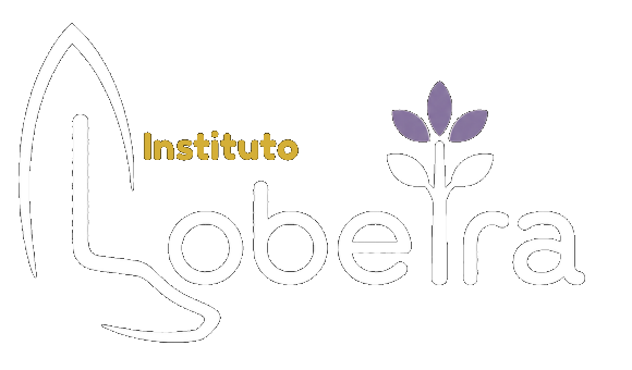 Instituto Lobeira de Ensino